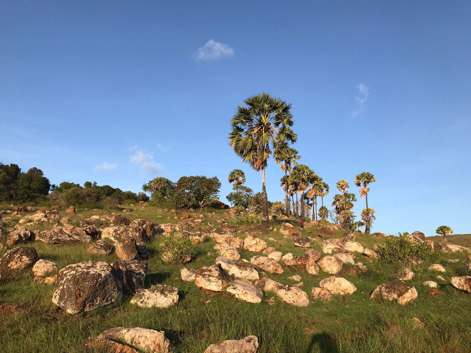 Lagu "Horok e" Asal Pulau Kisar - Maluku